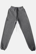 Pantalones deportivos Thenx - Gris